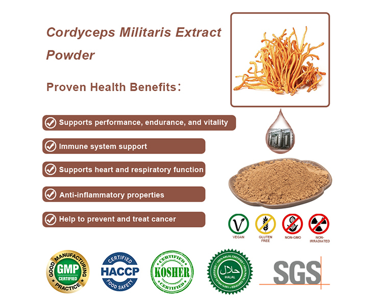 cordyceps militarist extract powder